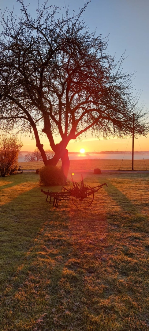 Our farm with a beautiful view – 3 pitches for campers