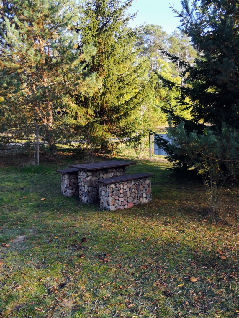 Dry grass meadow at the Hotel "Zum Birkenhof"
