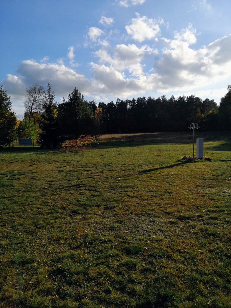 Dry grass meadow at the Hotel "Zum Birkenhof"