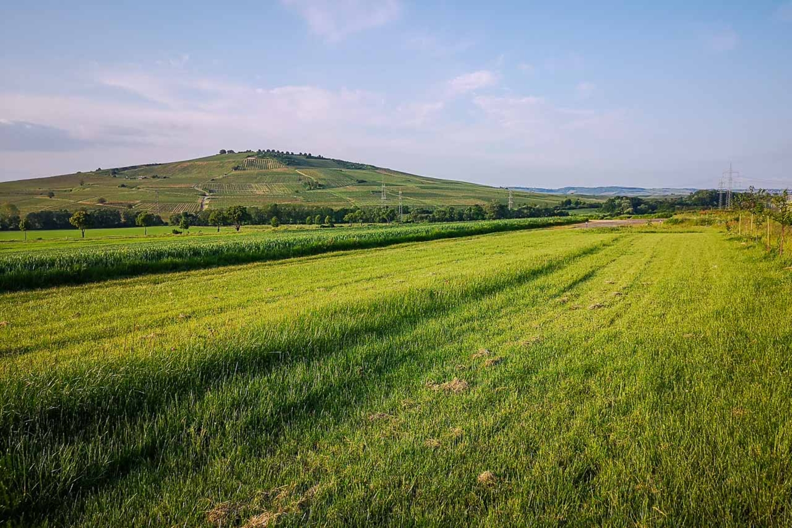 Meadow with a view of paradise