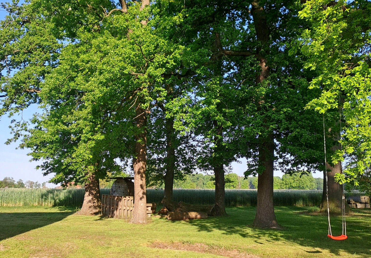 Under the oaks on the farm