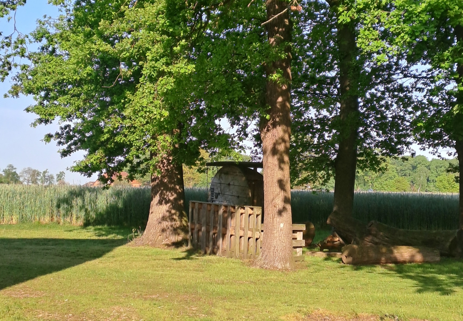 Under the oaks on the farm