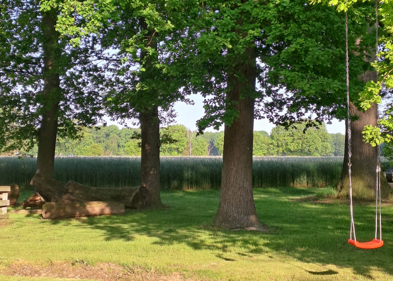 Under the oaks on the farm