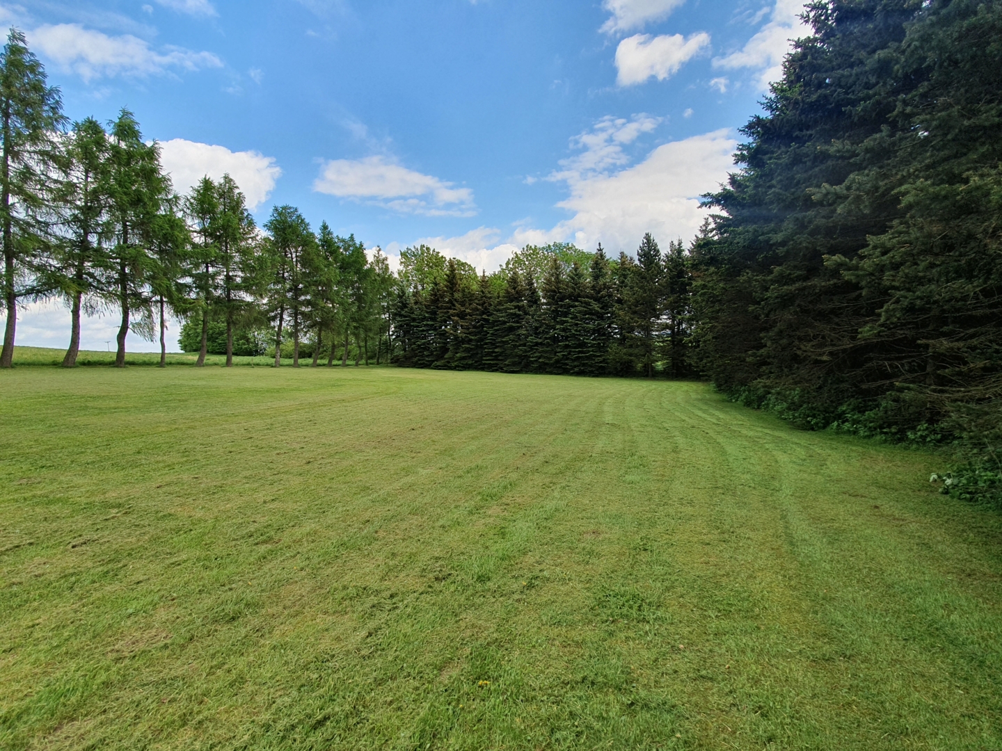 Meadow on the edge of the village