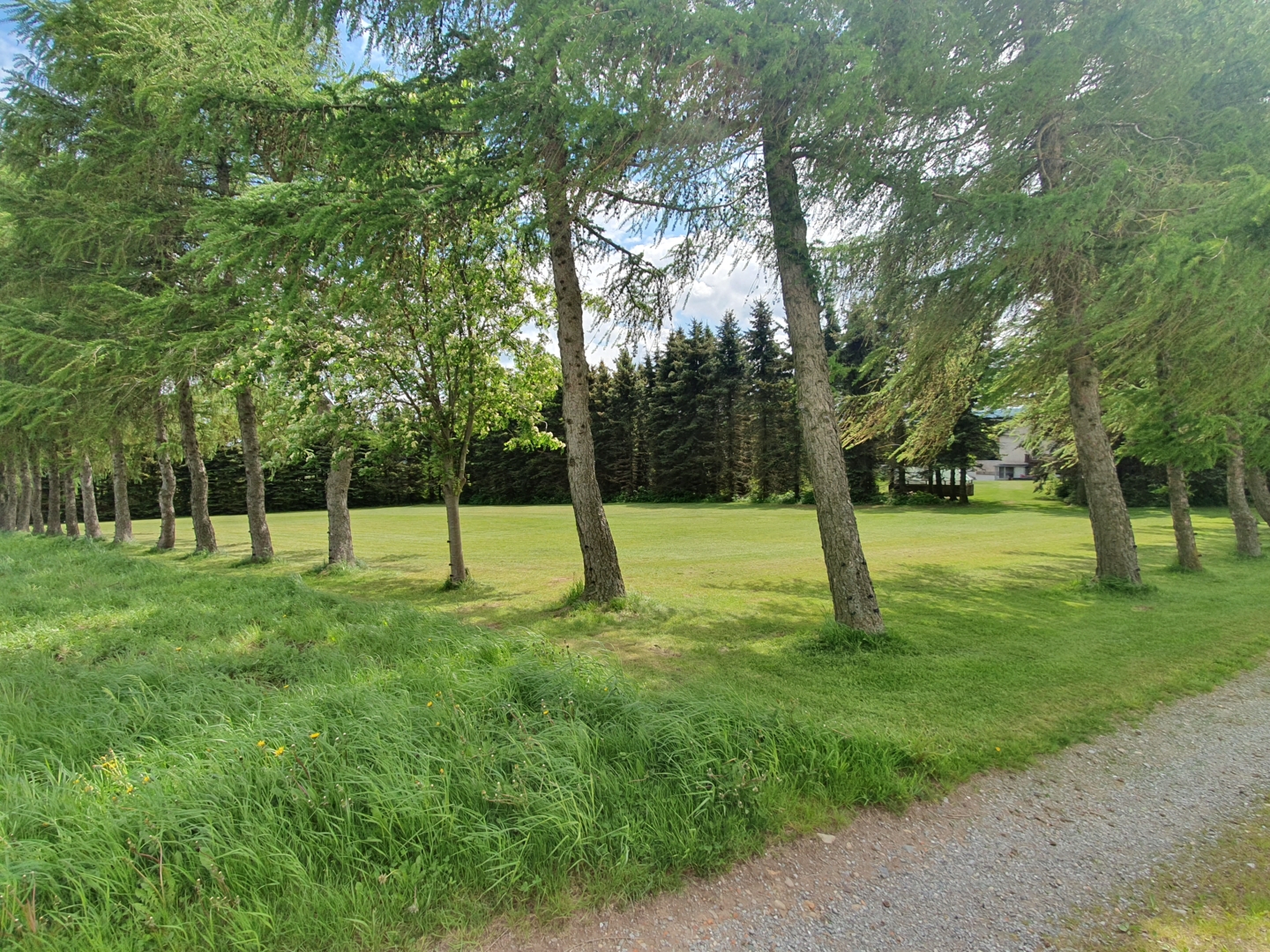 Meadow on the edge of the village