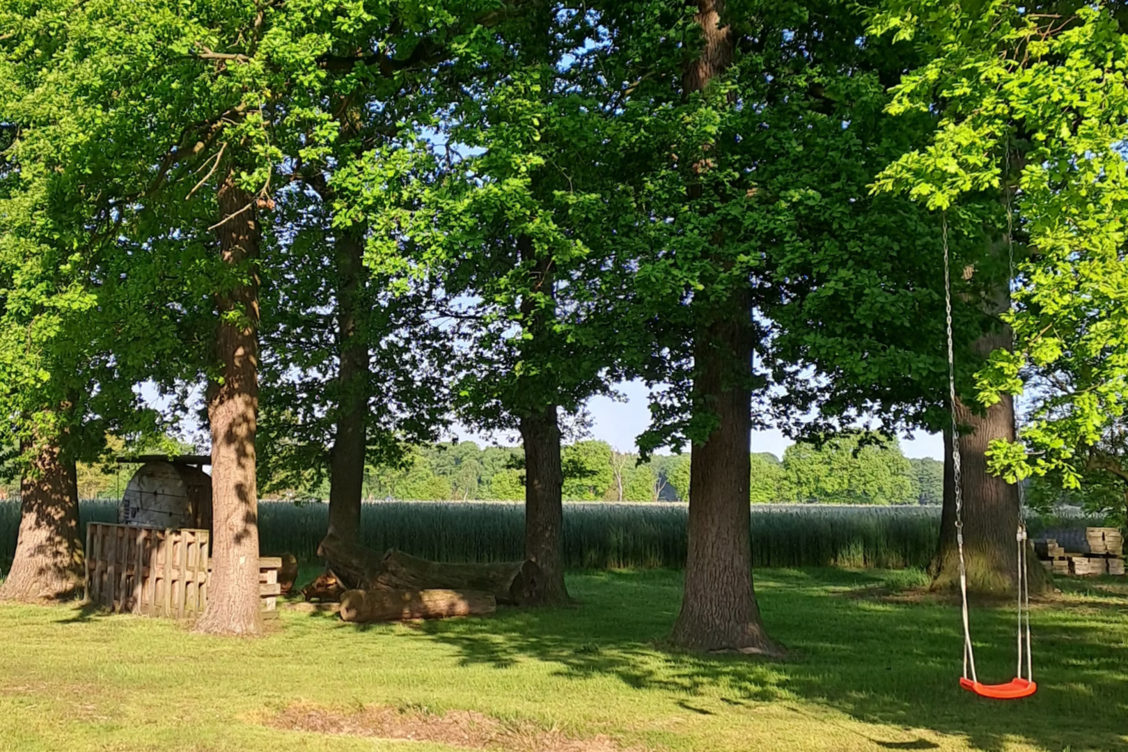 Under the oaks on the farm
