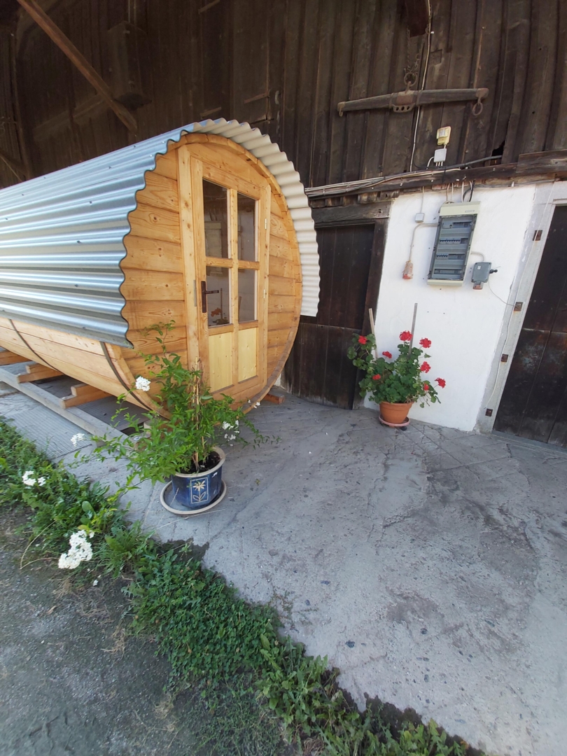 Camping on the farm, experience nature up close, between Allgu and Lake  Constance