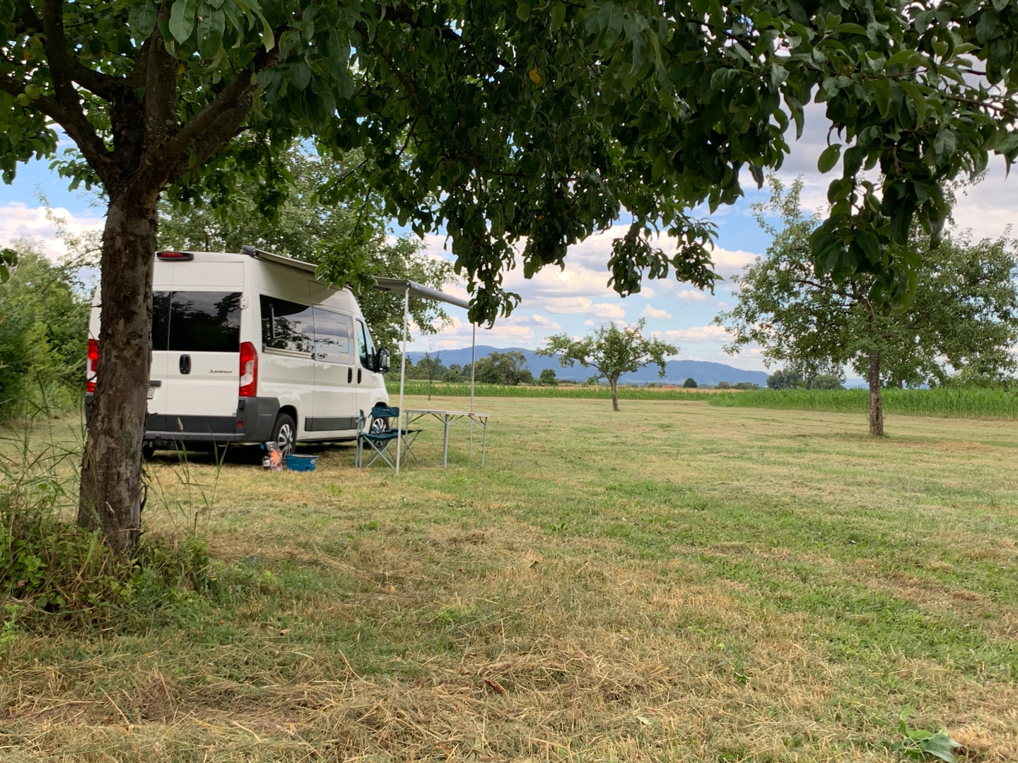 Sleeping under the apple tree
