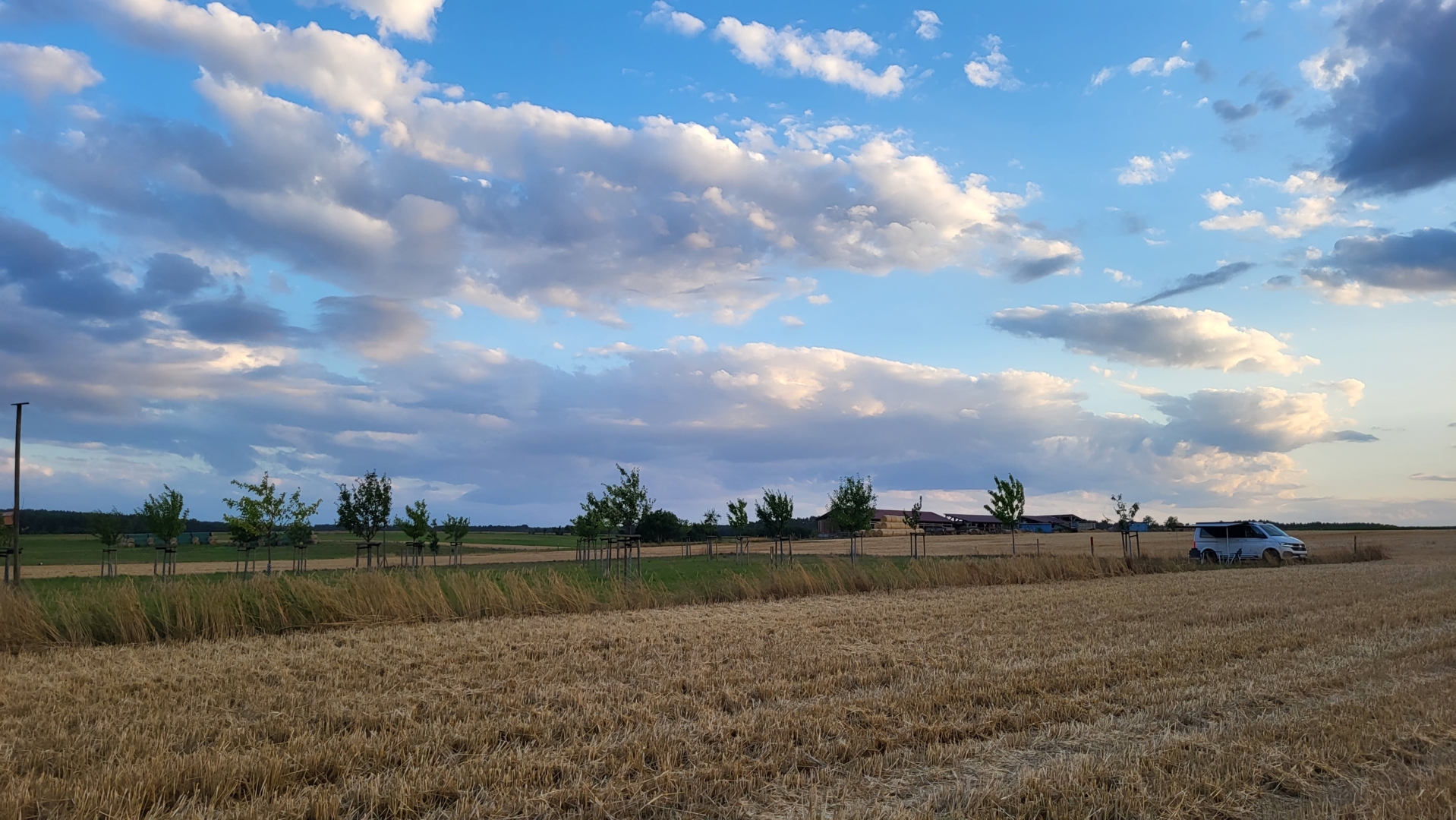 Where the rooster crows...orchard meadow idyll