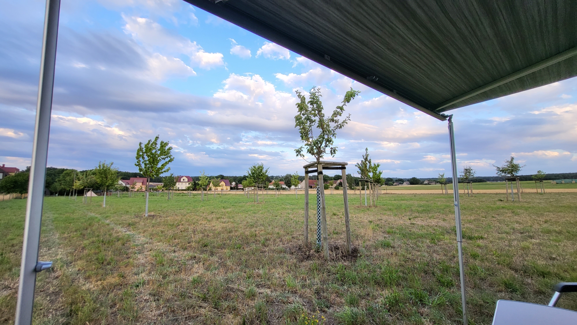 Where the rooster crows...orchard meadow idyll