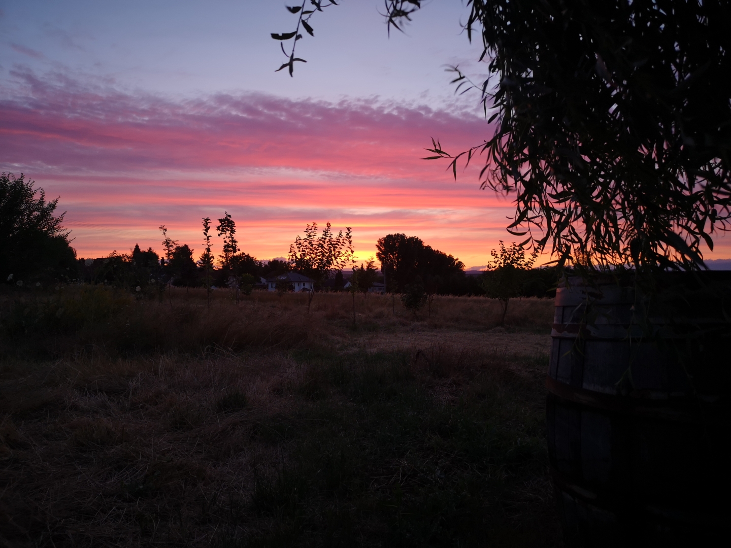 Meadow with a view of paradise