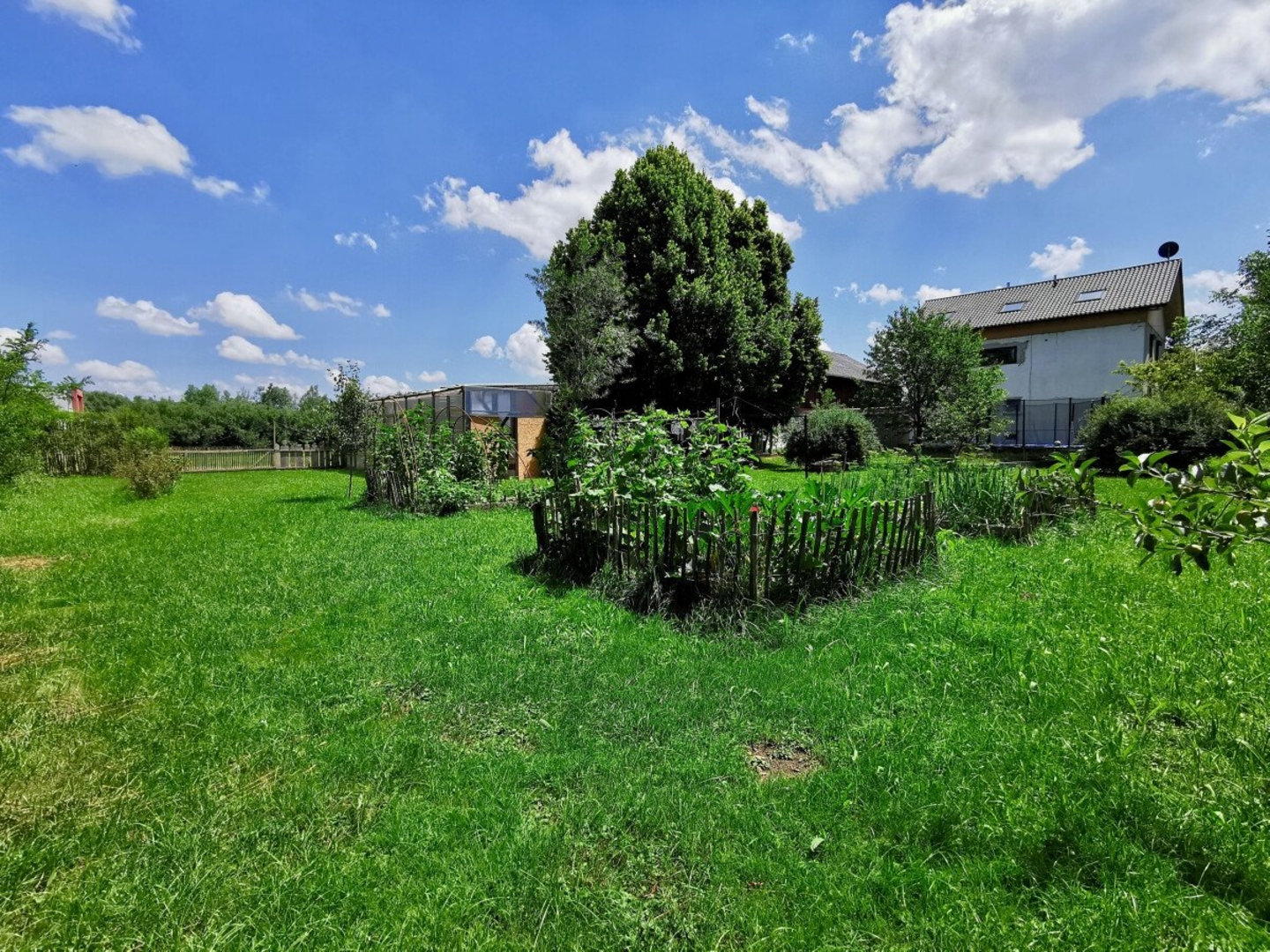 Meadow in central location