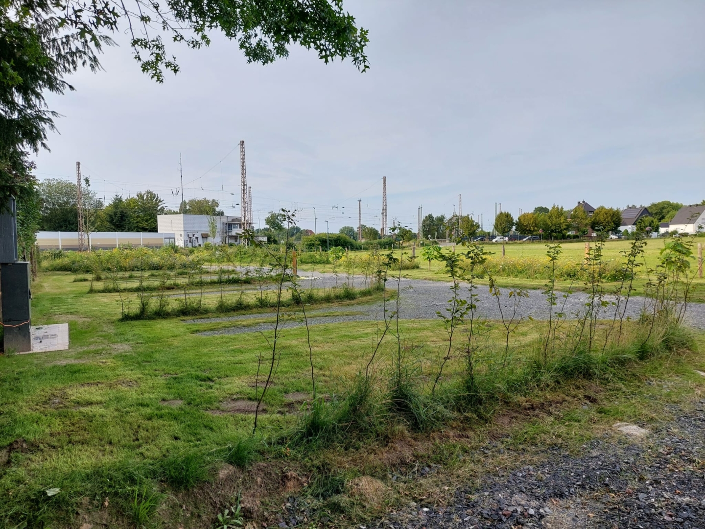 Camp Friedwart