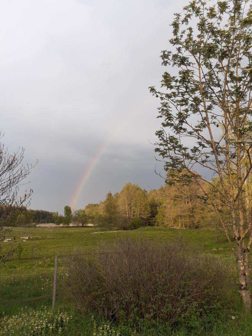 At Finsterbach