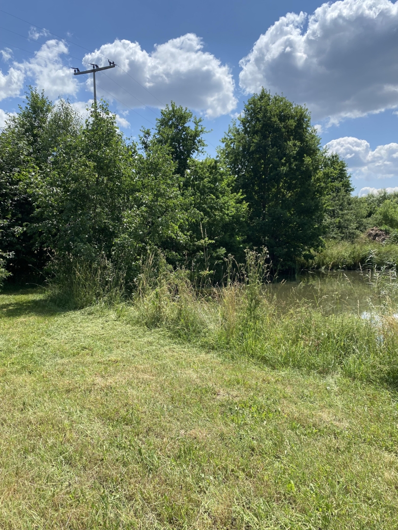 Idyllic parking space by the pond