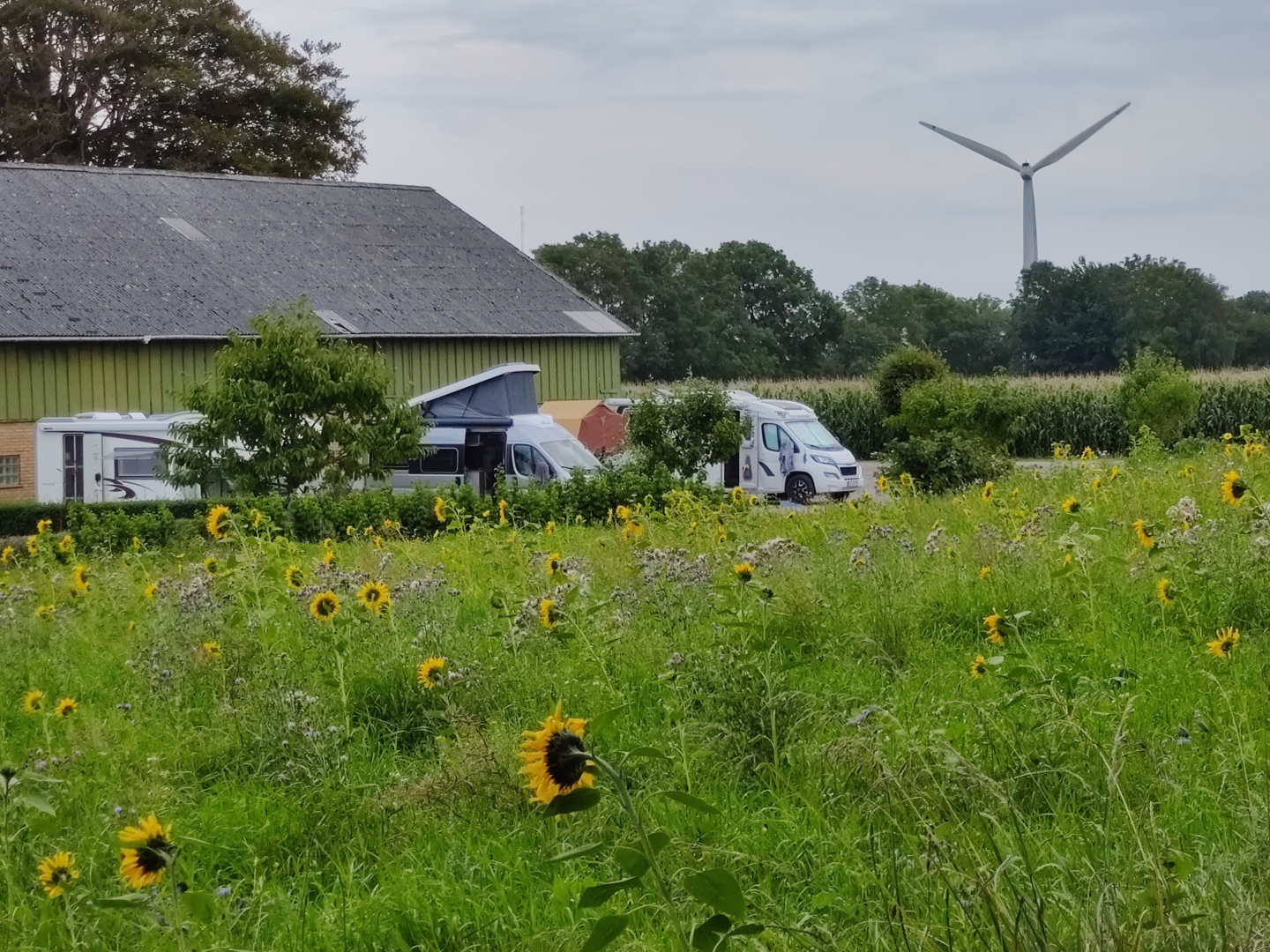 Gjerlevsen's Farm