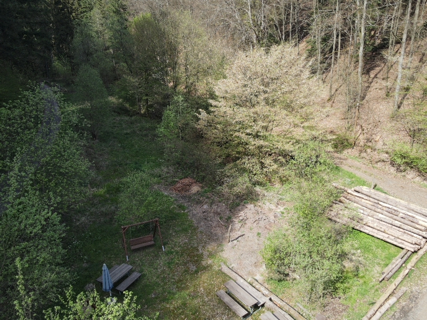 Quietly located pitches in the Palatinate Forest.