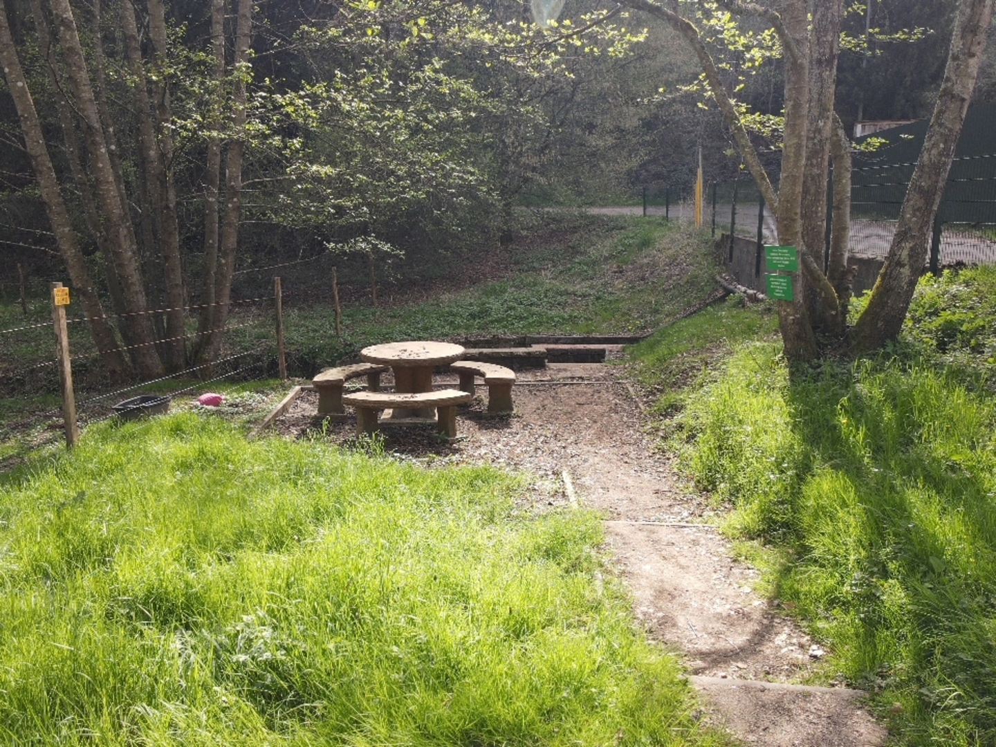 Quietly located pitches in the Palatinate Forest.