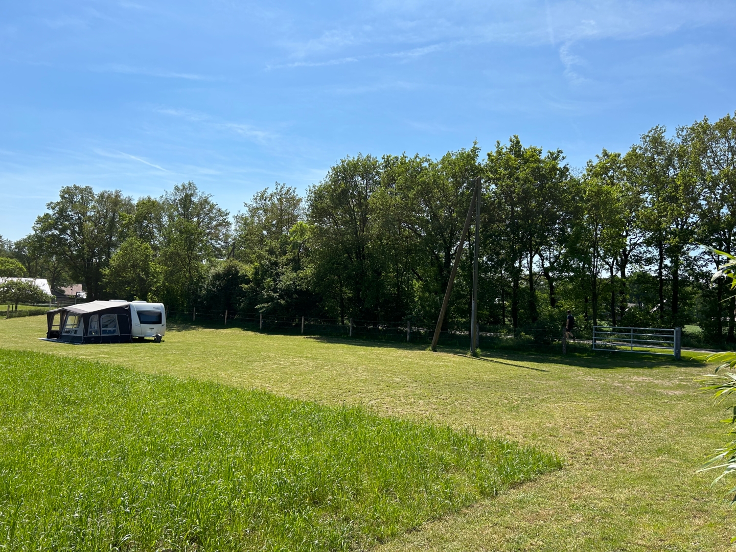 Meadow in the green Westmünsterland