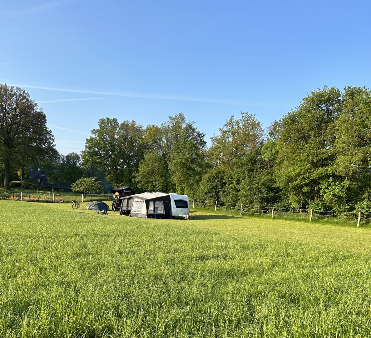 Meadow in the green Westmünsterland