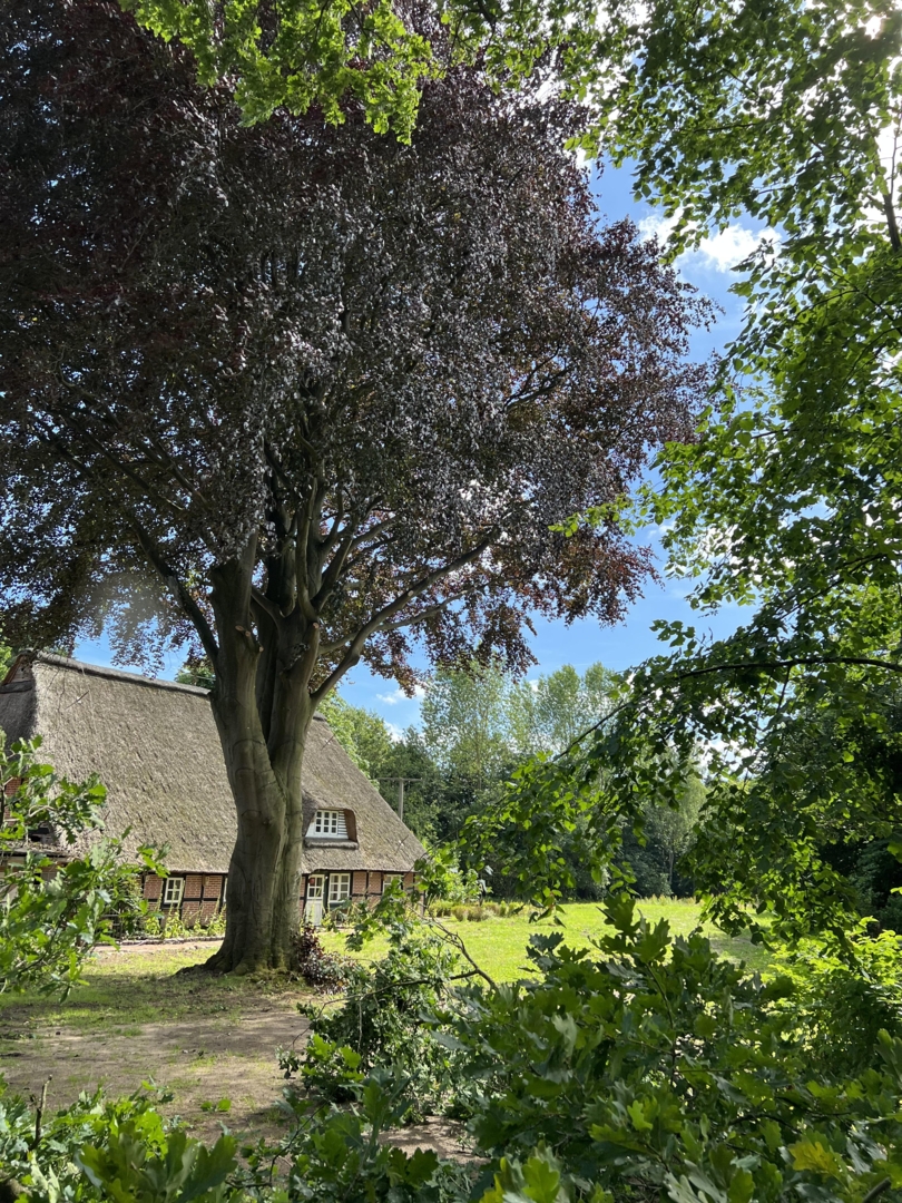 Wennebeker view