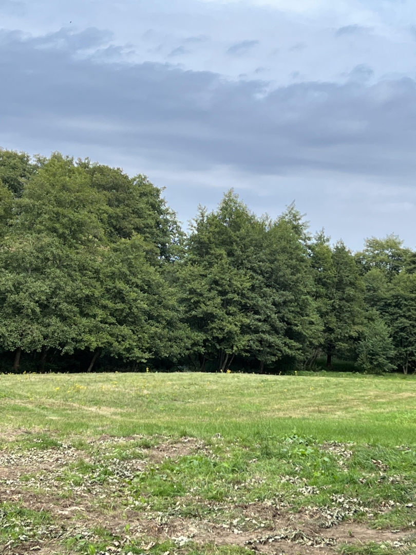 Wennebeker view