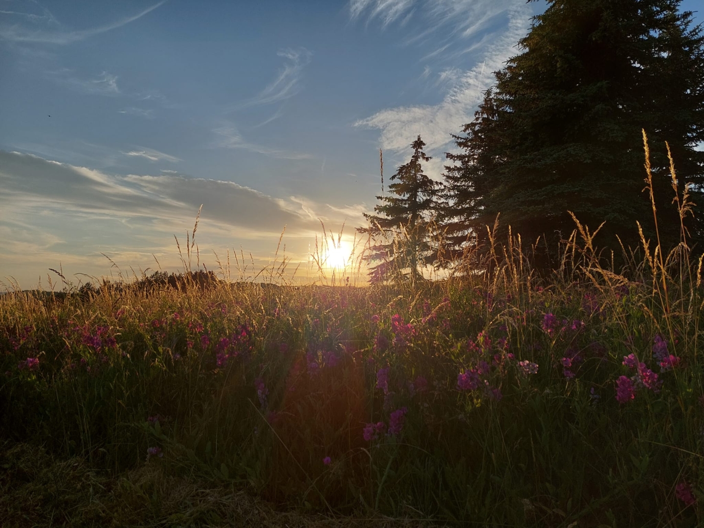 Idyll in the countryside