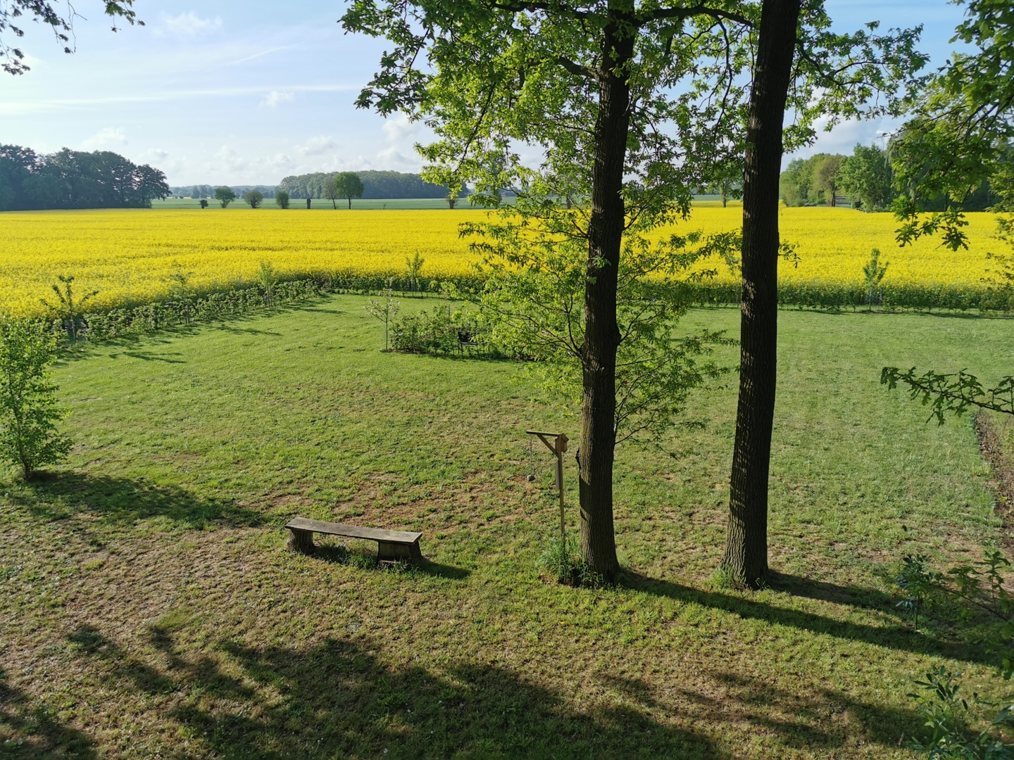 Pitch with a wonderful view - Mallenhof