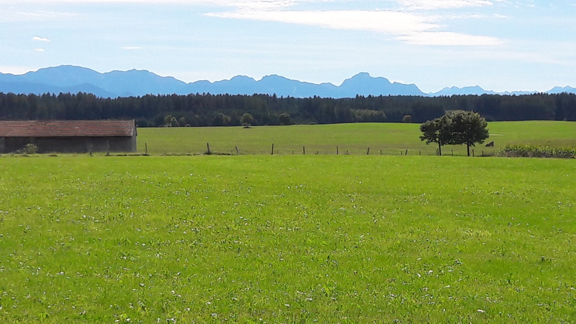 Peaceful, romantic views of the Alps year-round in a secluded location in the Auerbergland region