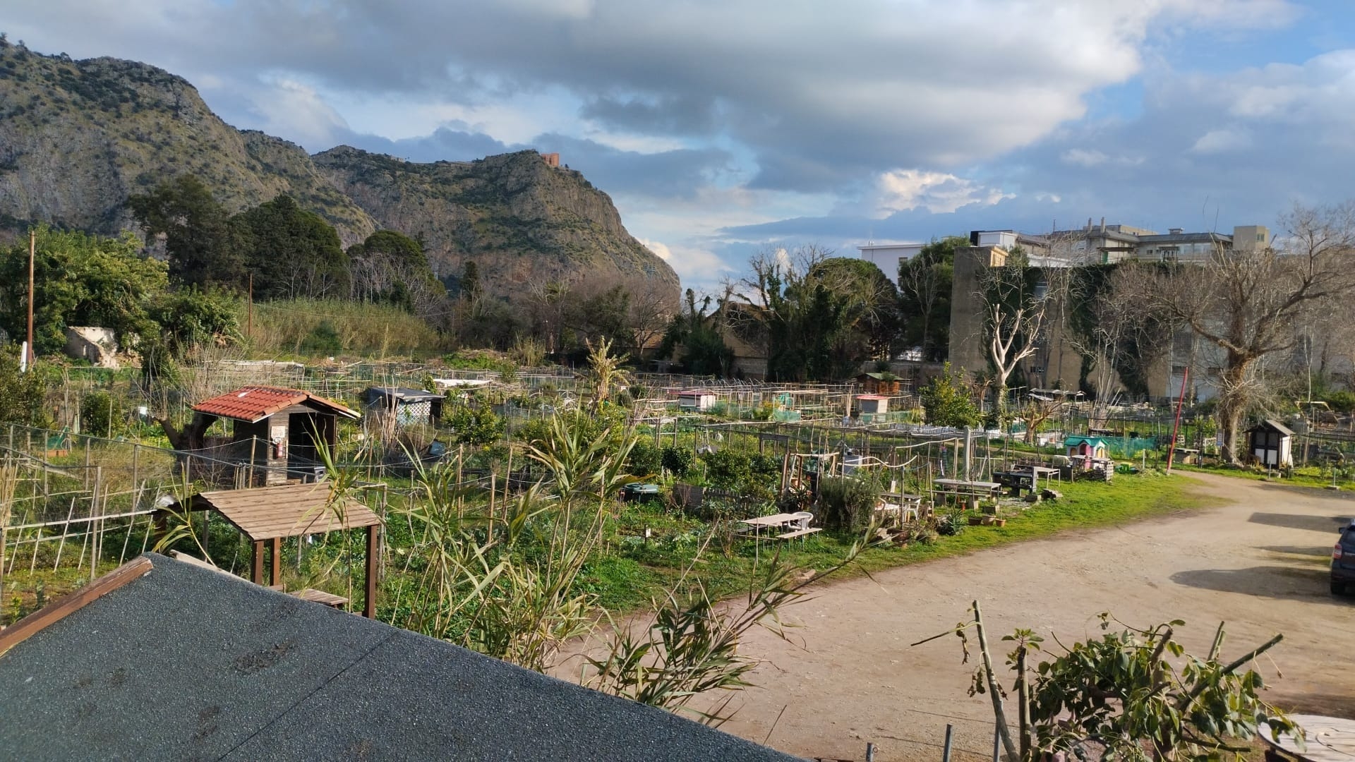 OASES OF PECE IN CHAOTIC PALERMO
