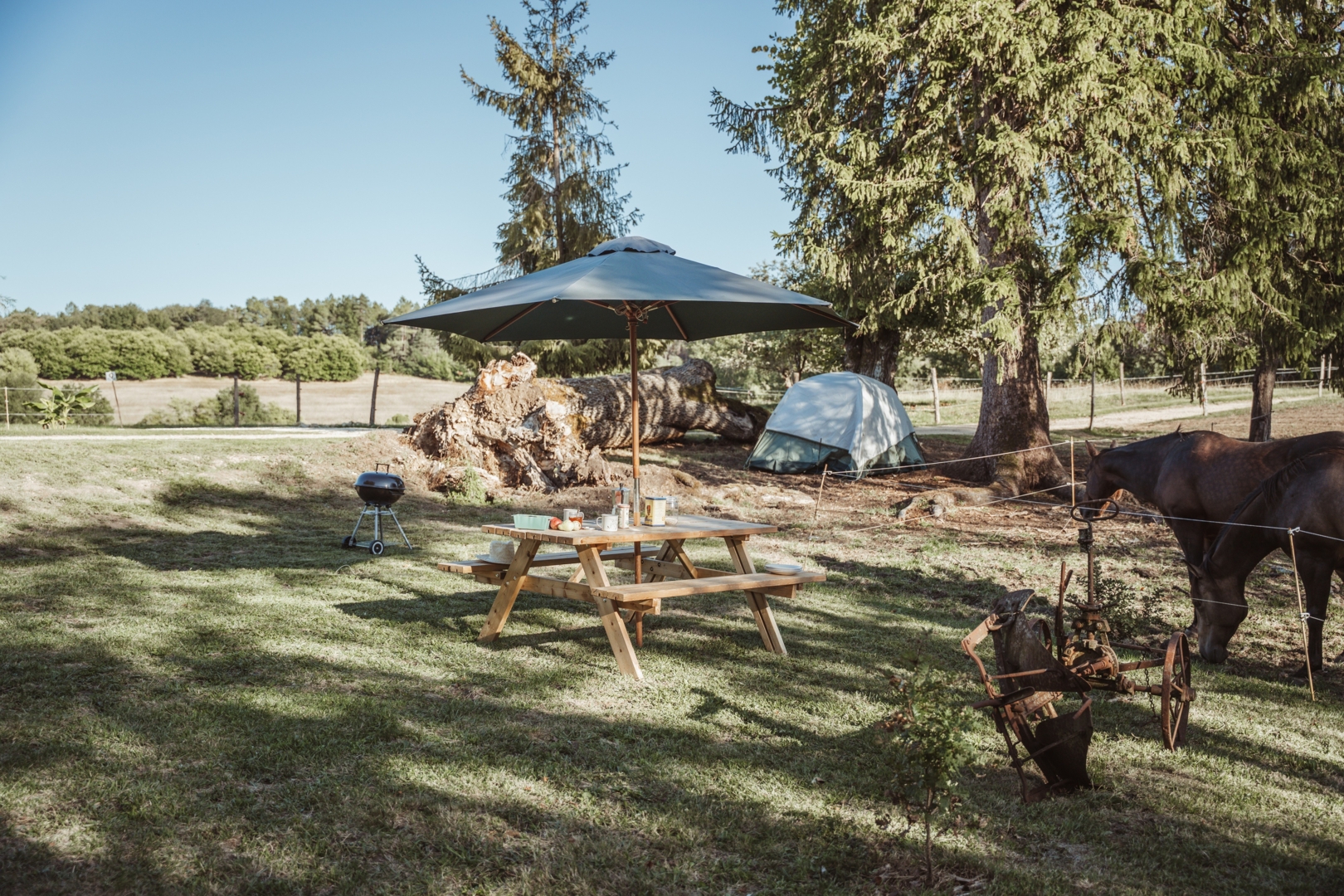 A single location in the heart of the farm, peace and quiet guaranteed!