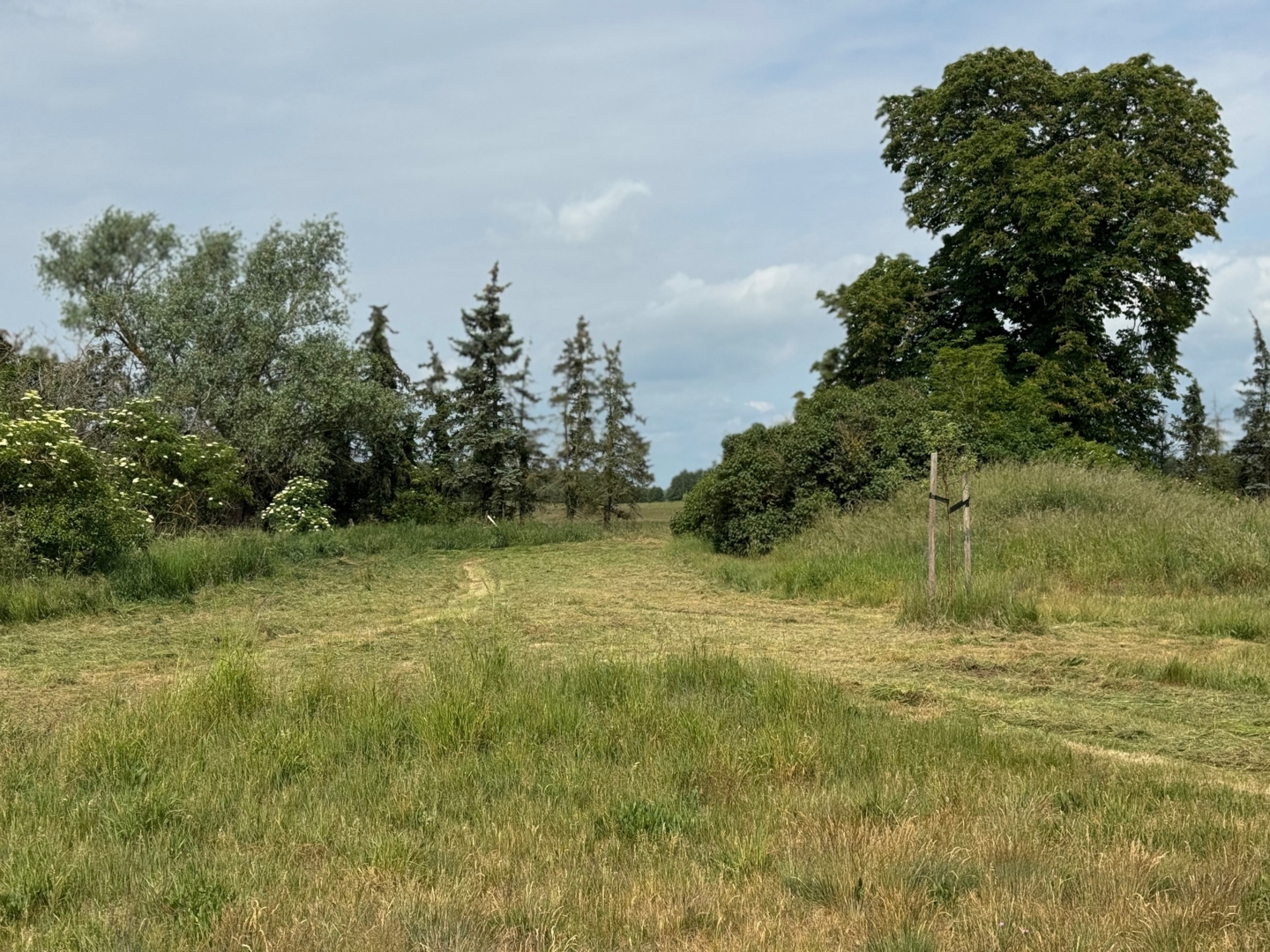 Campspace in Siegrothsbruch, Brandenburg