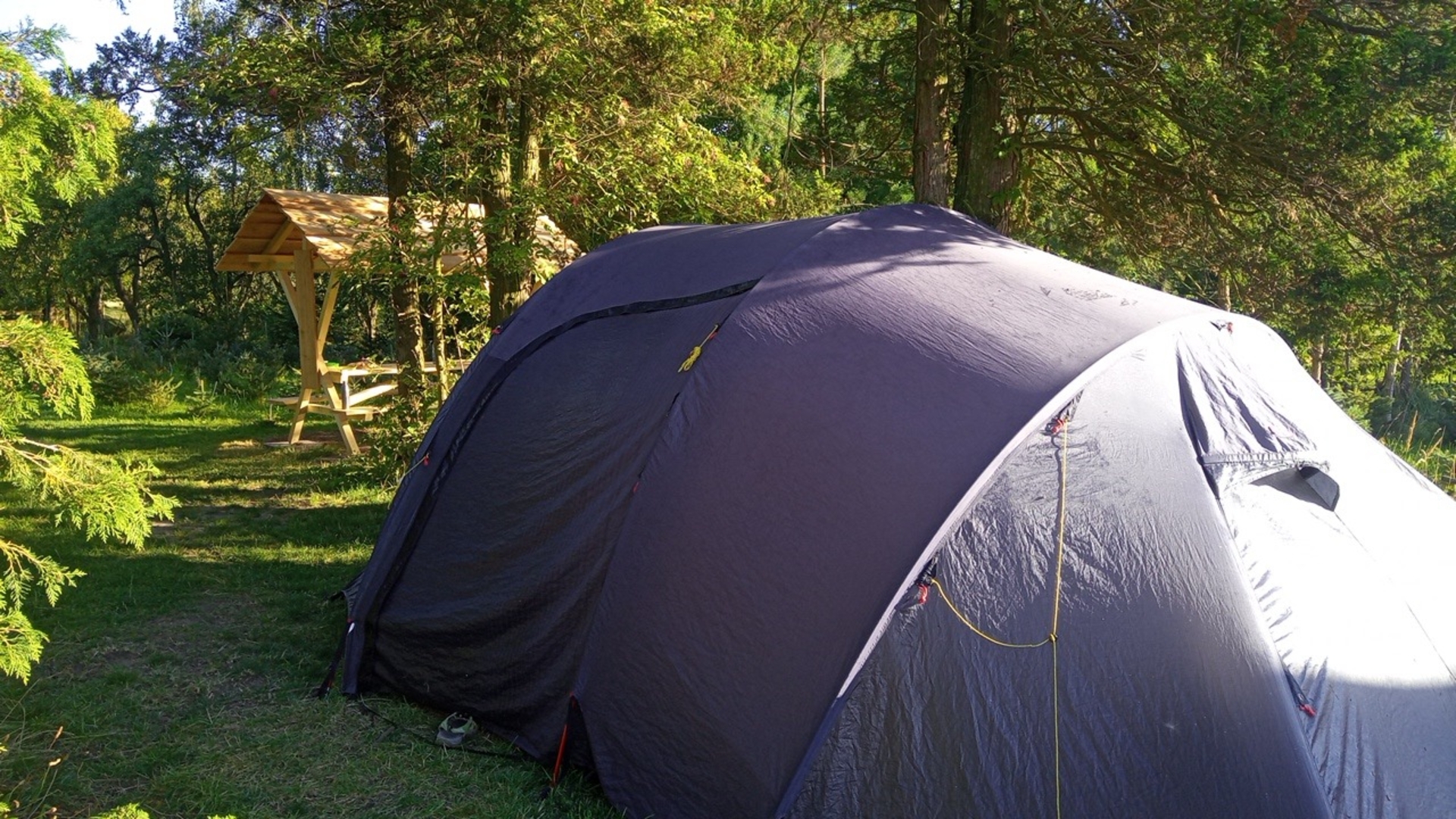 Nature camping in the forest in Saxony