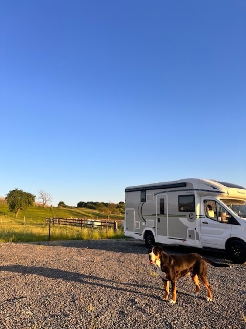 Campspace in the beautiful Mettekoven