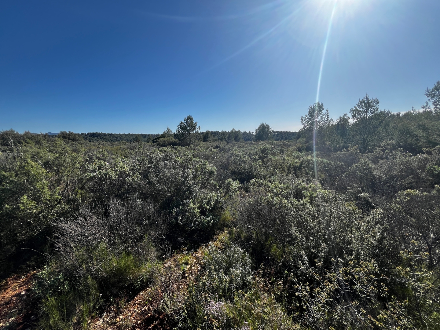 Campspace in Aix-en-Provence, Provence-Alpes-Côte d'Azur