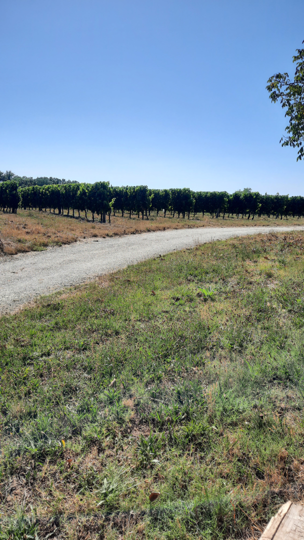 Campspace in Le Pian-sur-Garonne, New Aquitaine
