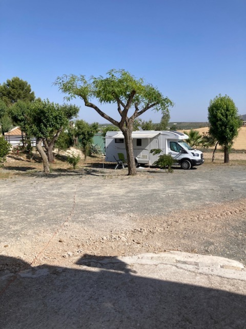 Campspace in Moron de la Frontera, Andalusia