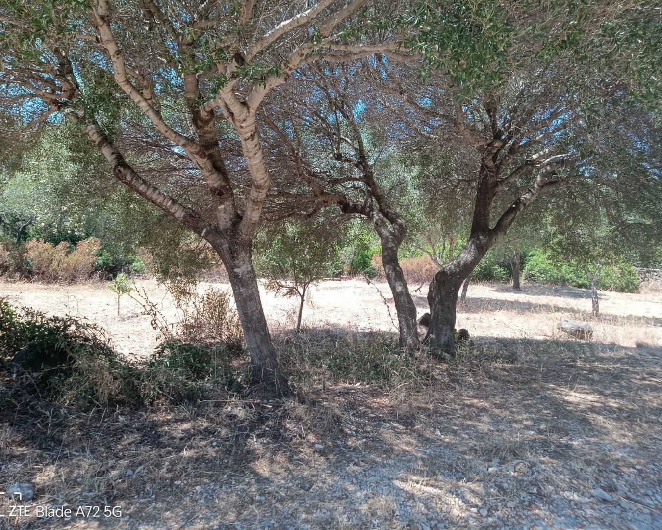 Campspace in Orosei, Nuoro