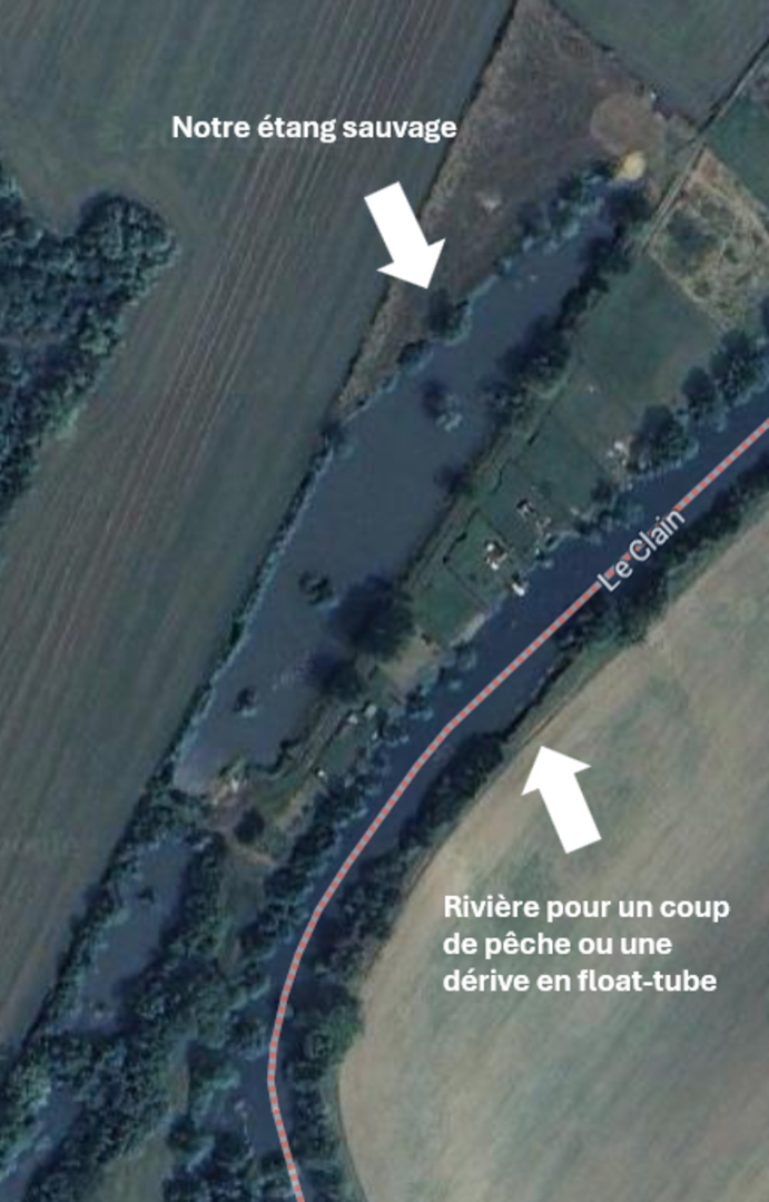 Campspace in Naintre, Nouvelle-Aquitaine