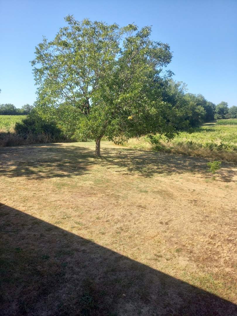 Campspace in Génissac, New Aquitaine