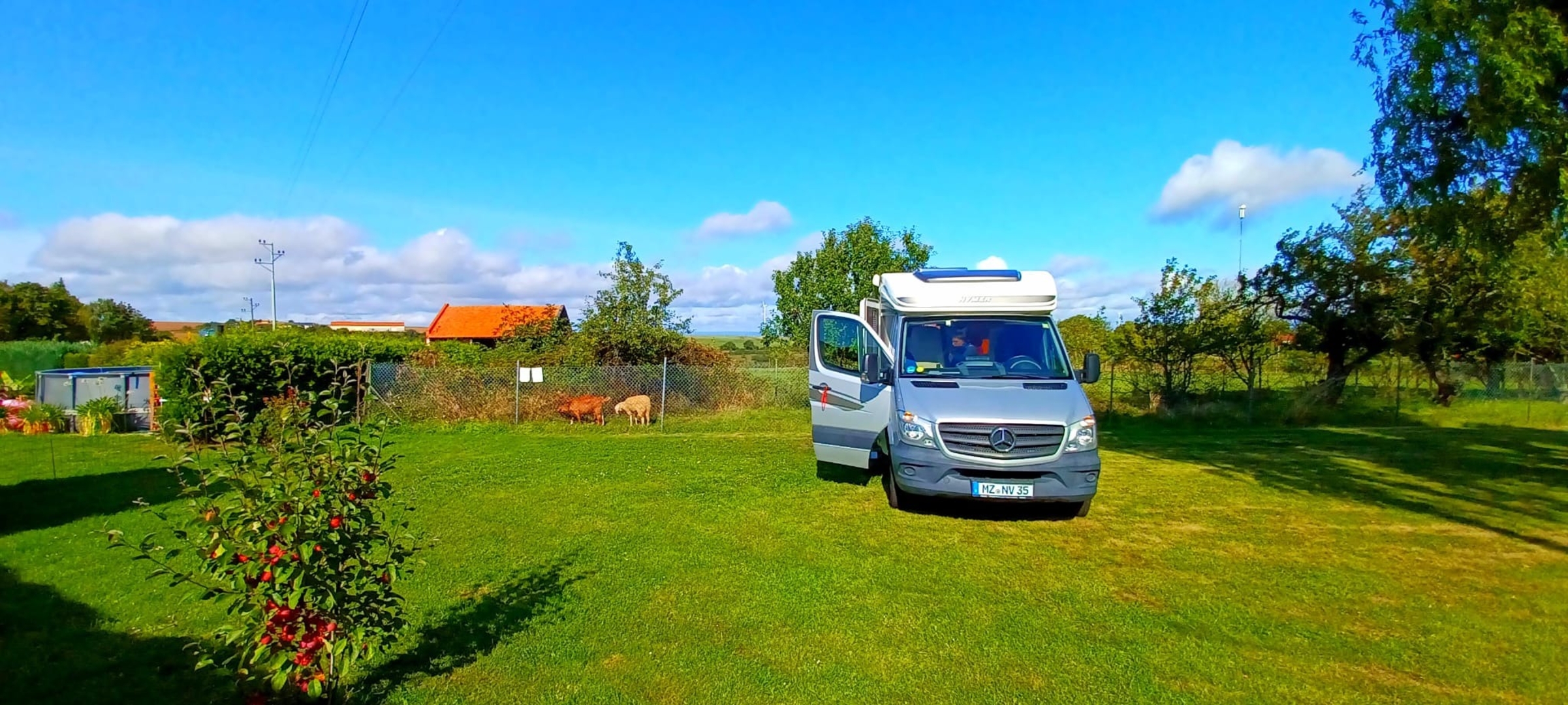Campspace in Kriegsfeld, Rhineland-Palatinate