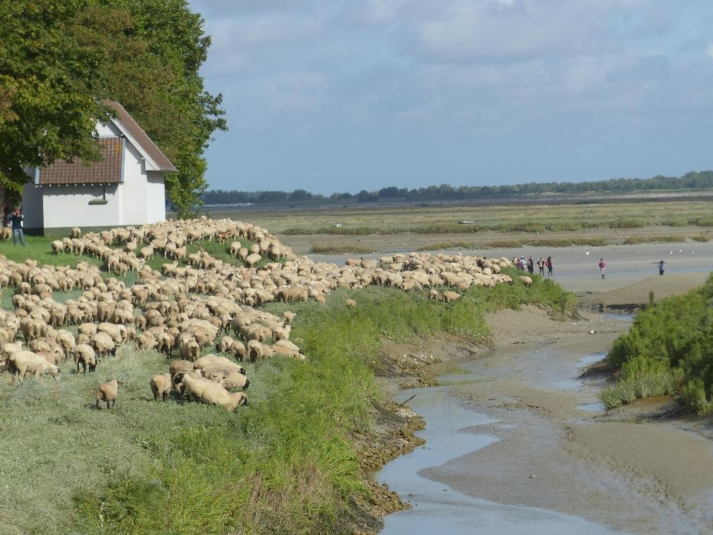 Campsite 200 meters from the Bay of Somme and shops