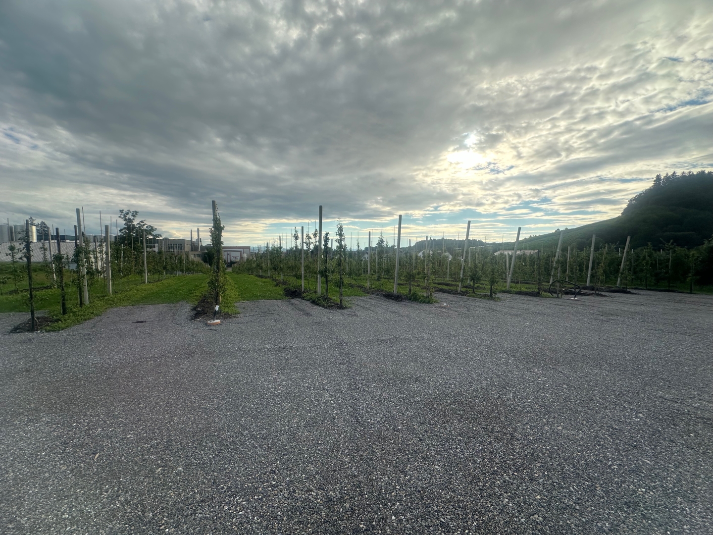 Campspace in Lindau