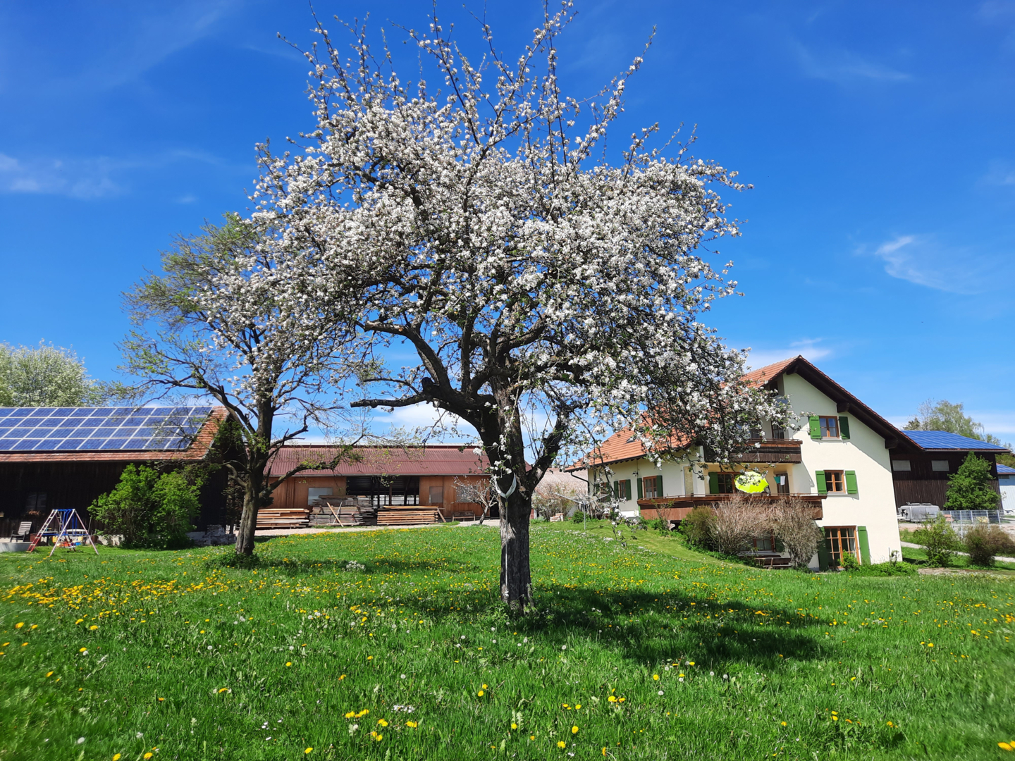 Farm camping in the Allgäu