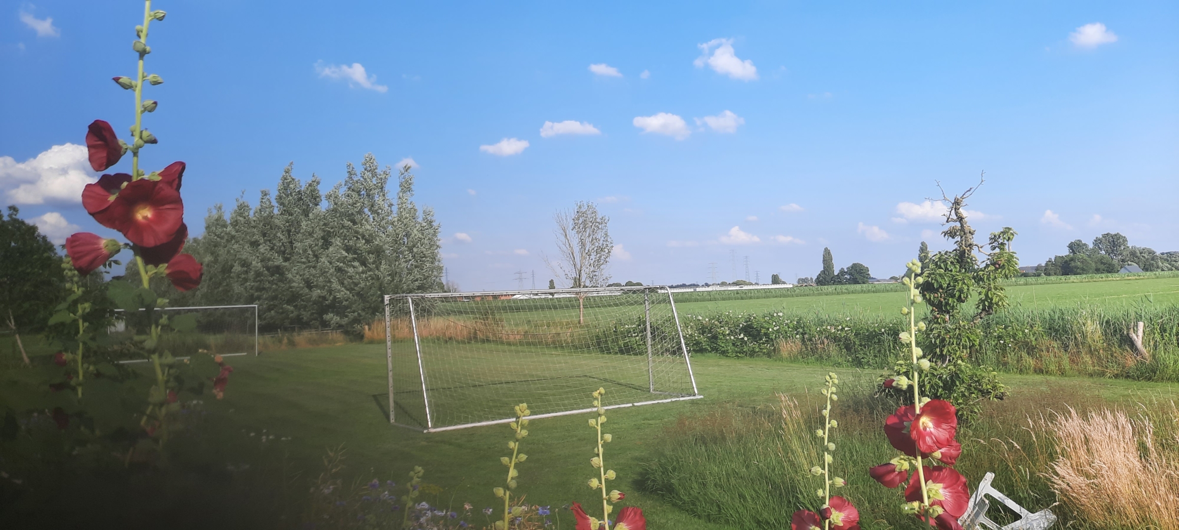 Camping in Utrecht with a view of the dike and meadow