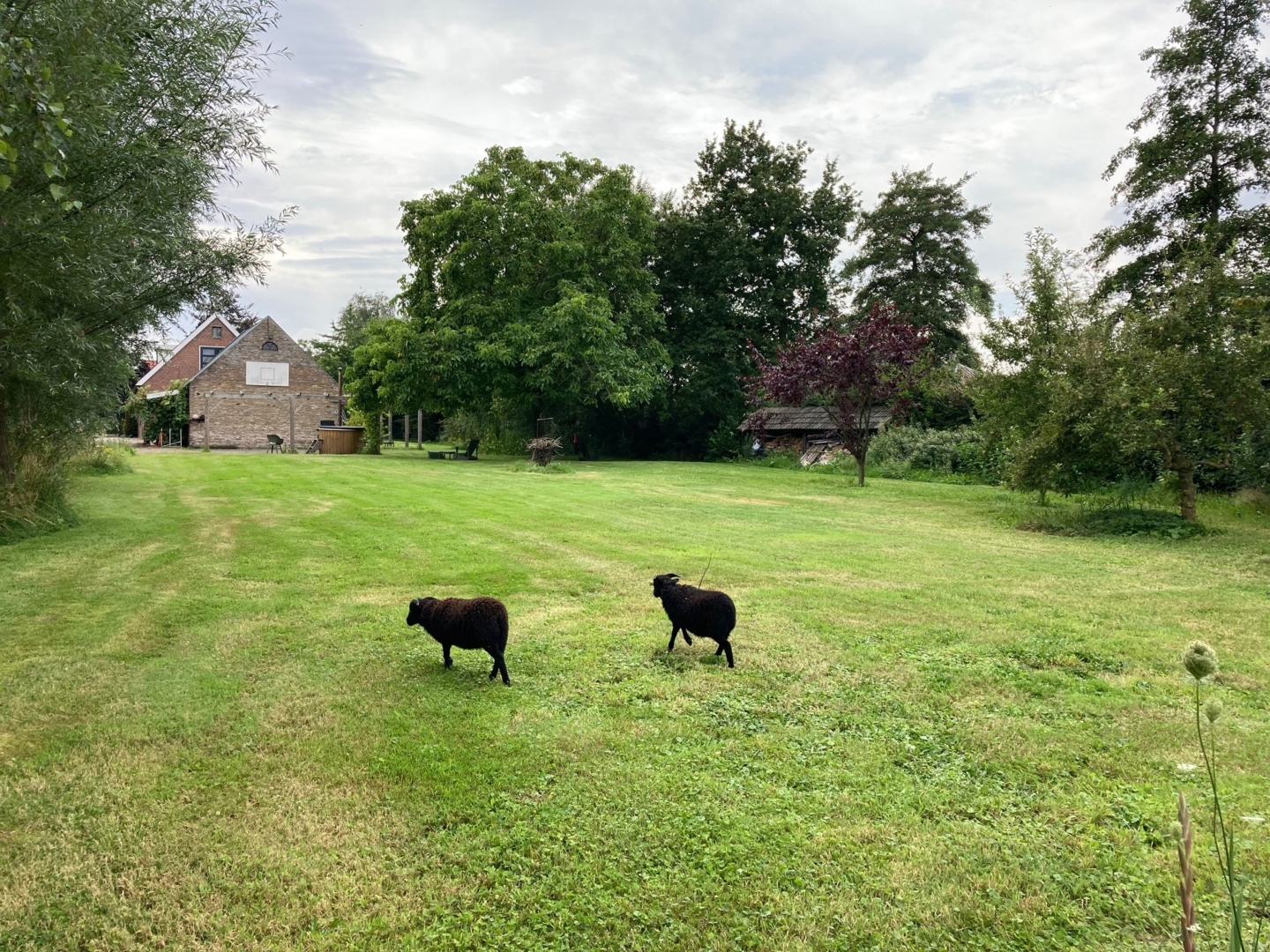 2000m2 garden with animal meadow near Den Bosch