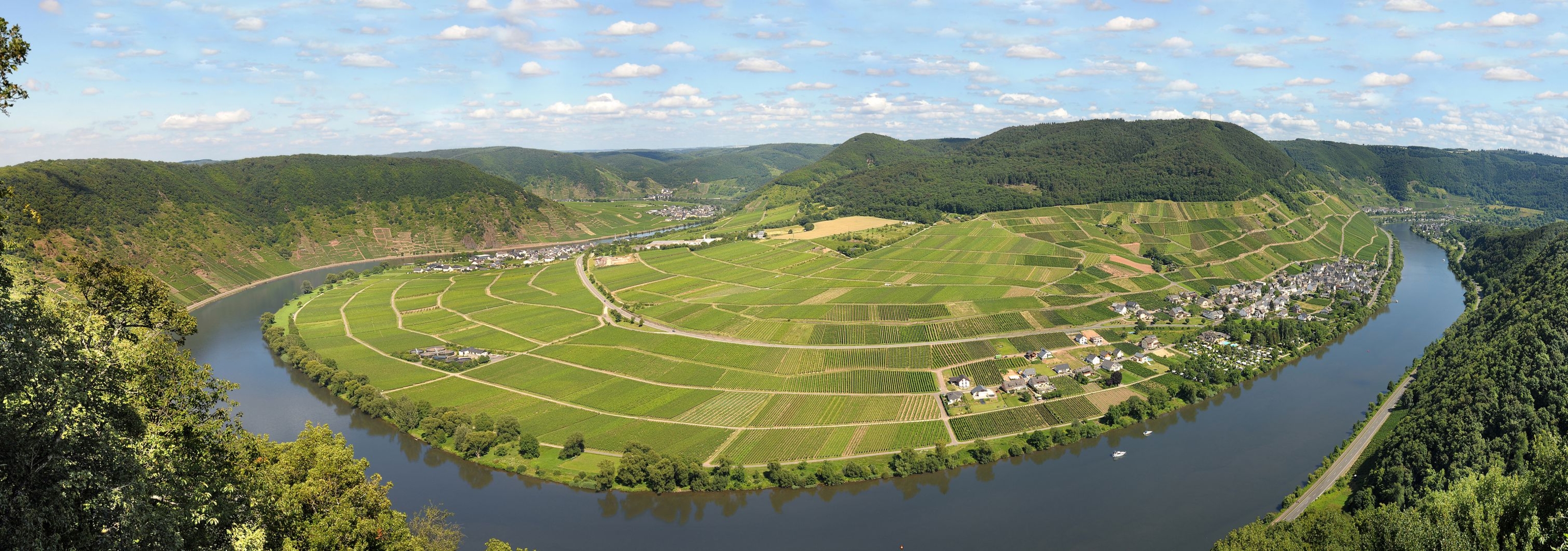 Stellplatz bei Weingut direkt an der Mosel sdlich von Cochem