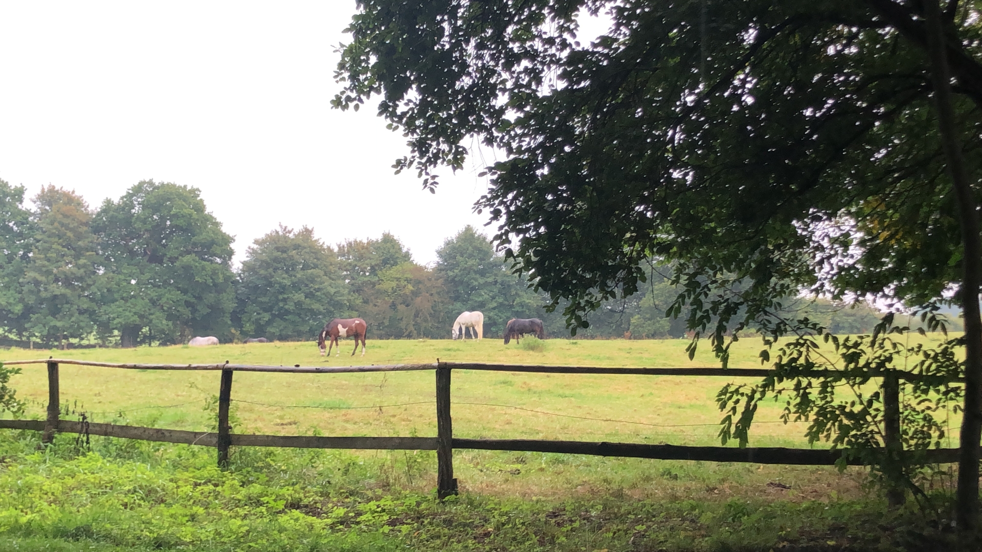 Farm camping at the Baltic Sea