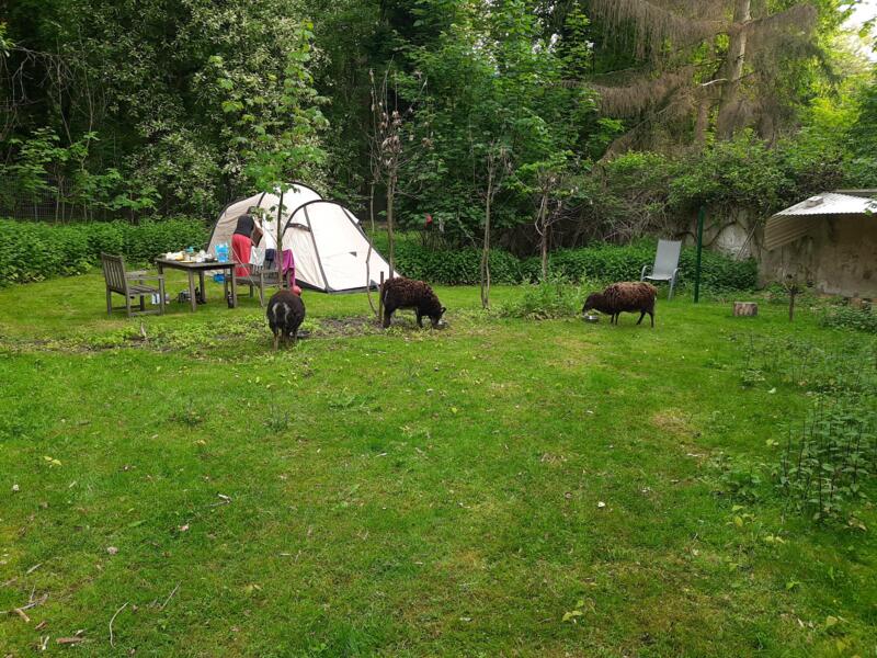 Kinderfreundlicher Campingplatz im privaten Gartennahe Kln & Bonn