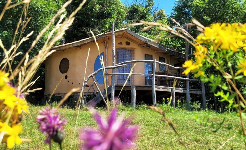 hngematte mit gestell aus holz Hngemattengestell aus Fichtenholz Brasil Gigant  Lola Hngemattenshop
